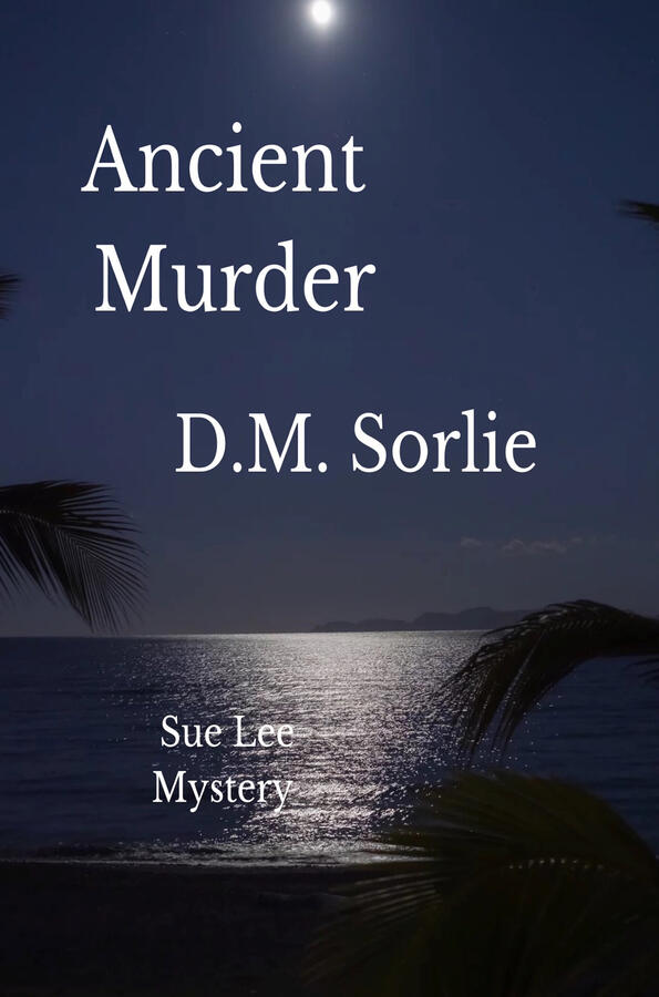 Sue Lee Mystery